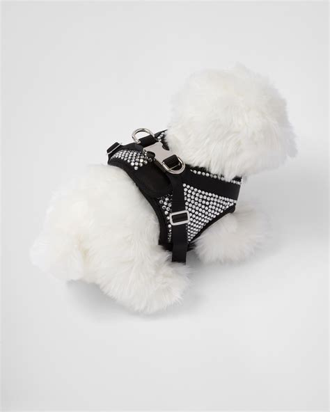 dog harness prada|luxury dog collars for sale.